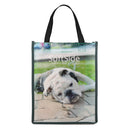 100 GSM PET Tote Bag